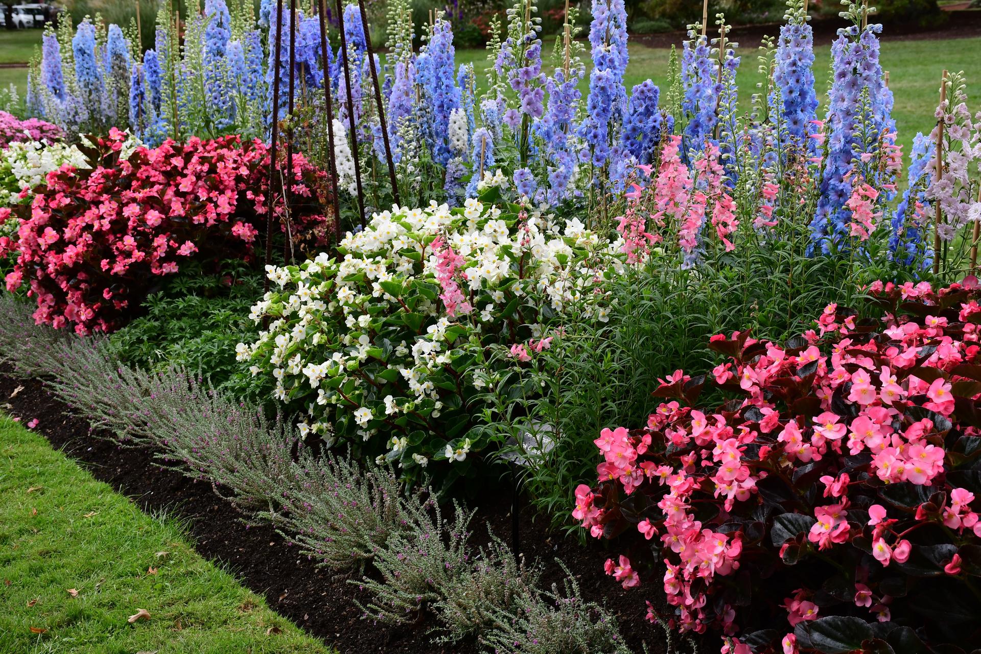 Cottage garden